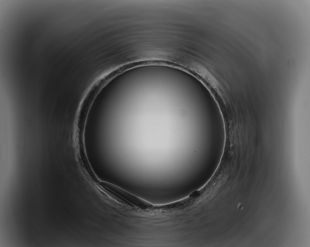 X0000097841072200803201513