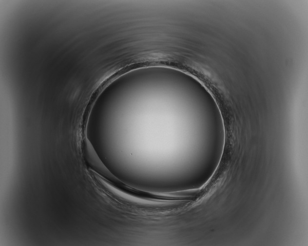 X0000097841073200803201513