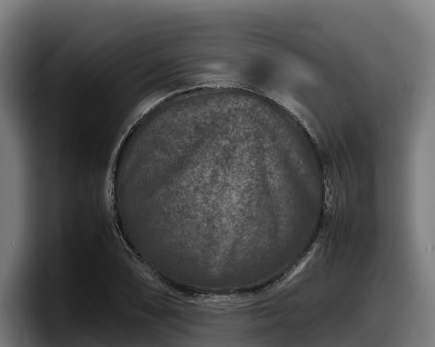 X0000097841074200803201513