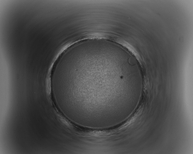 X0000097841075200803201513