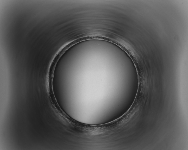 X0000097841076200803201513