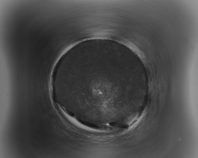 X0000097841077200803201513