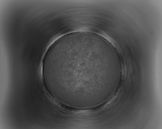 X0000097841078200803201513
