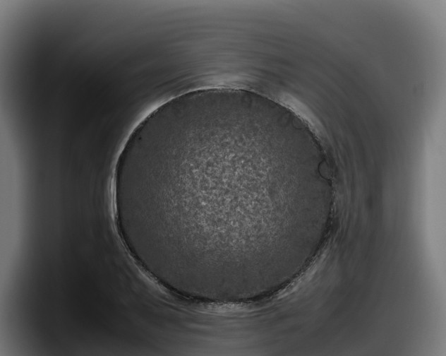 X0000097841079200803201513