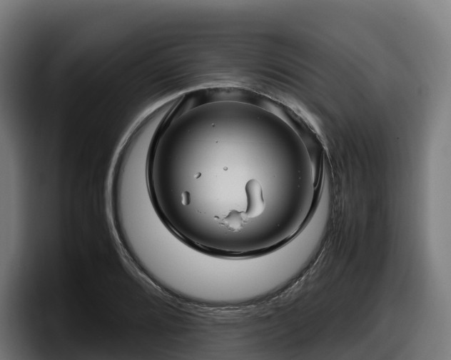 X0000097841080200803201513