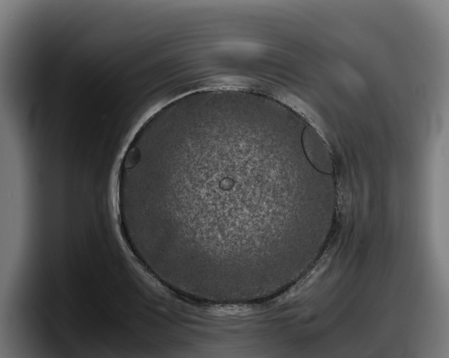 X0000097841083200803201513