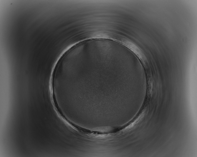 X0000097841084200803201513