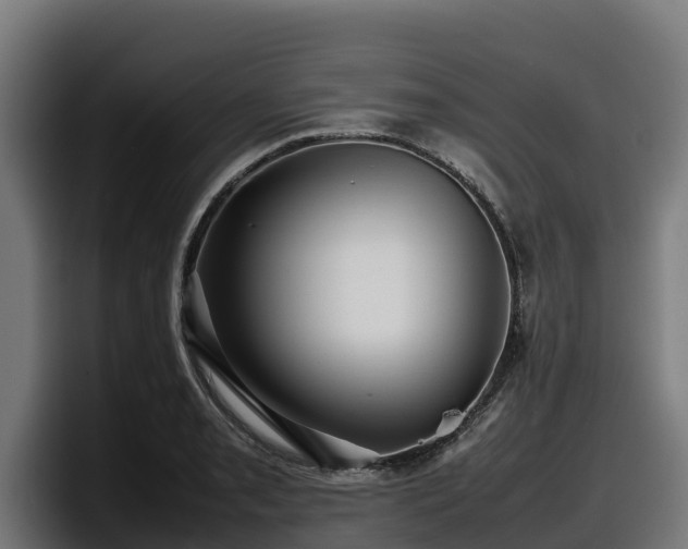 X0000097841085200803201513