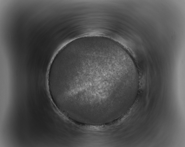 X0000097841086200803201513
