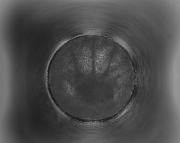 X0000097841087200803201513