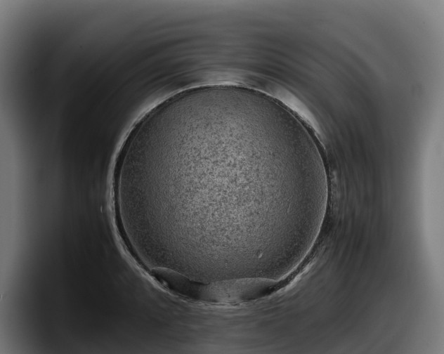 X0000097841088200803201513