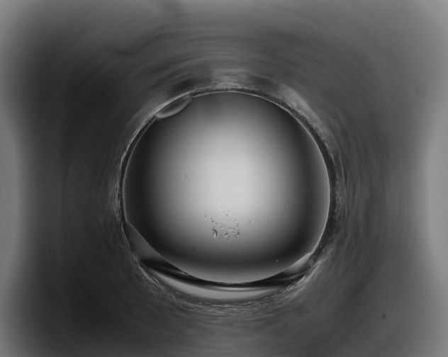 X0000097841089200803201513