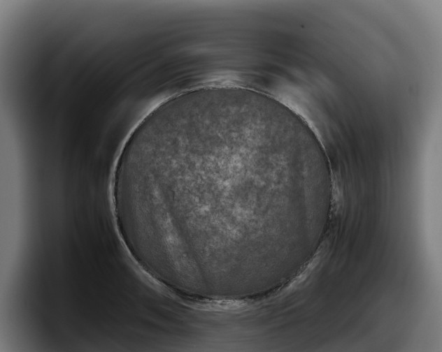 X0000097841090200803201513