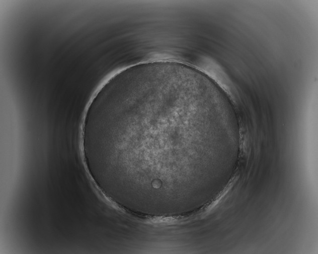 X0000097841094200803201513