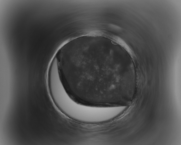 X0000097841095200803201513