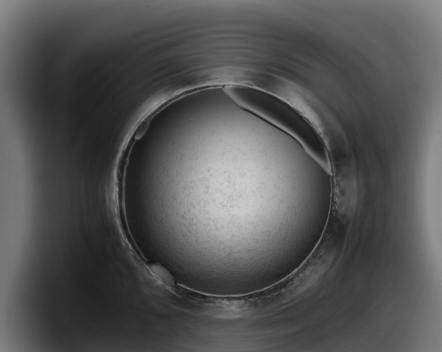 X0000097841096200803201513