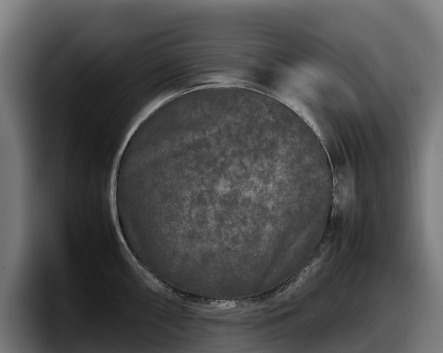 X0000097841098200803201513