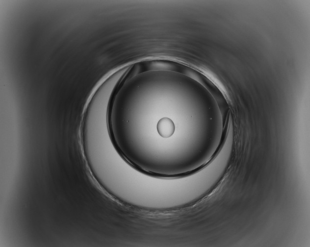 X0000097841100200803201513