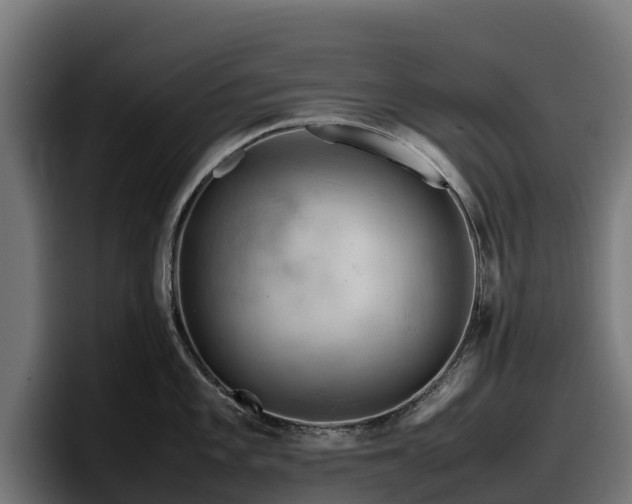 X0000097841101200803201513