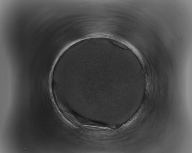 X0000097841102200803201513