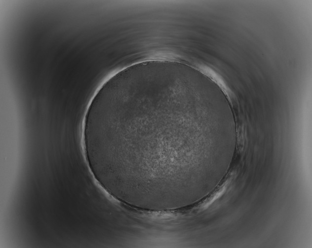 X0000097841103200803201513