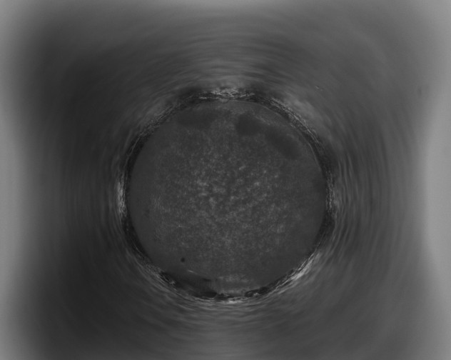 X0000097841106200803201512