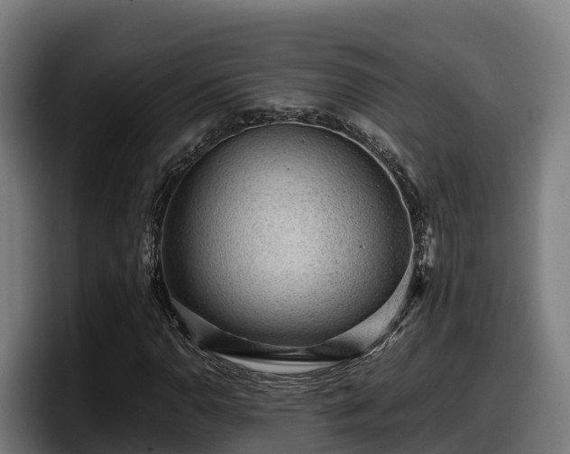X0000097841110200803201512