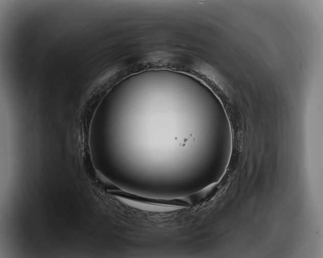 X0000097841111200803201512