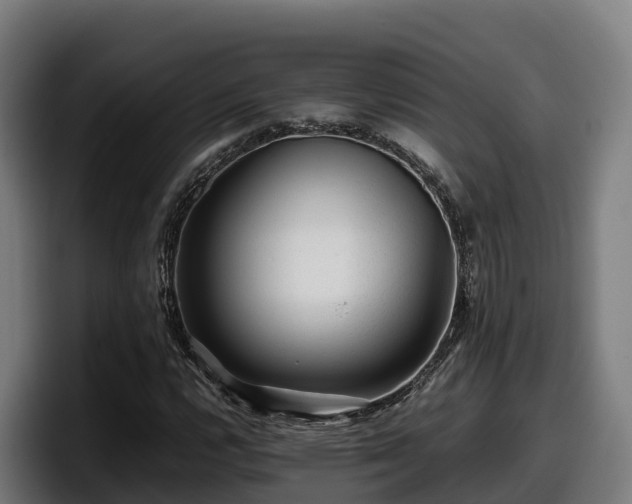 X0000097841112200803201512