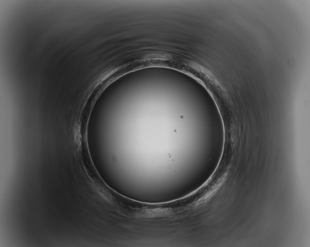 X0000097841113200803201512