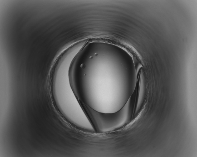 X0000097841114200803201512