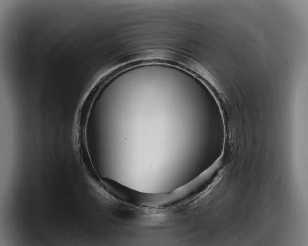 X0000097841116200803201512