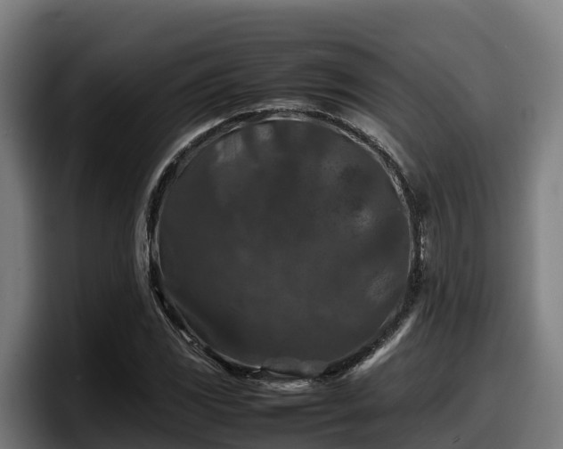 X0000097841117200803201512