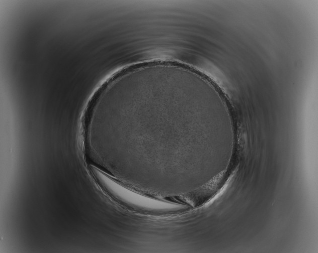 X0000097841118200803201512