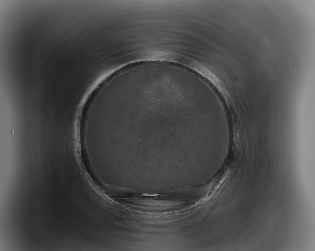 X0000097841120200803201512
