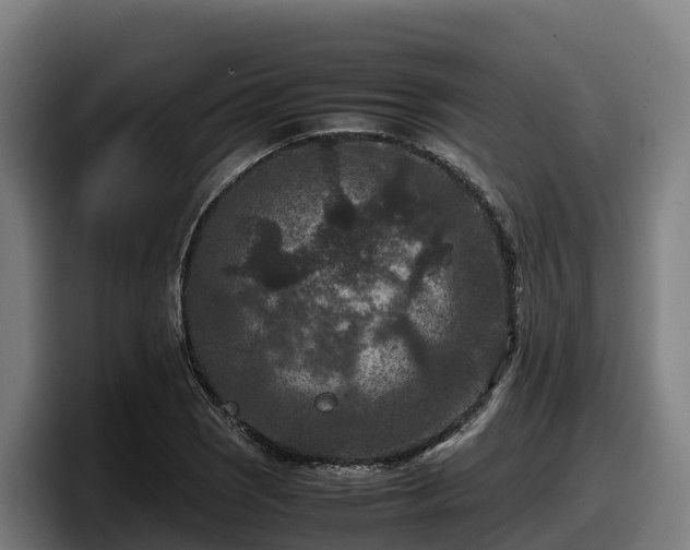 X0000097841121200803201512