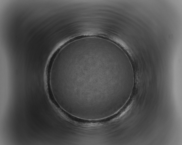 X0000097841122200803201512