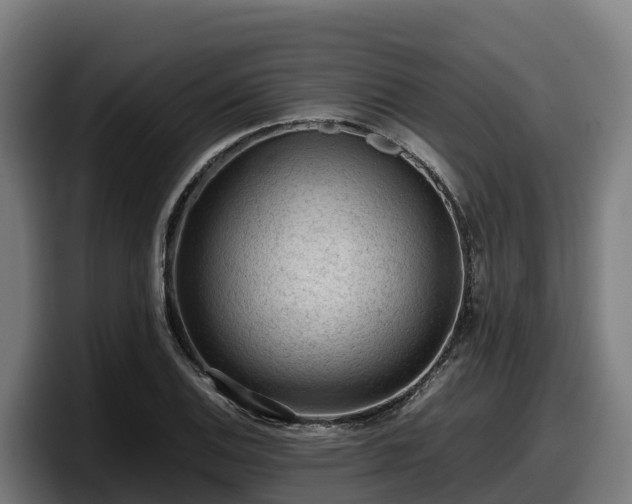 X0000097841124200803201512