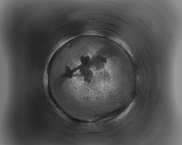 X0000097841125200803201512