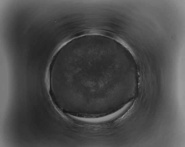 X0000097841127200803201512