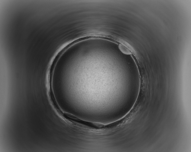 X0000097841128200803201512