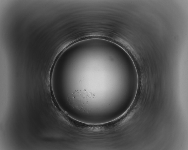 X0000097841129200803201512