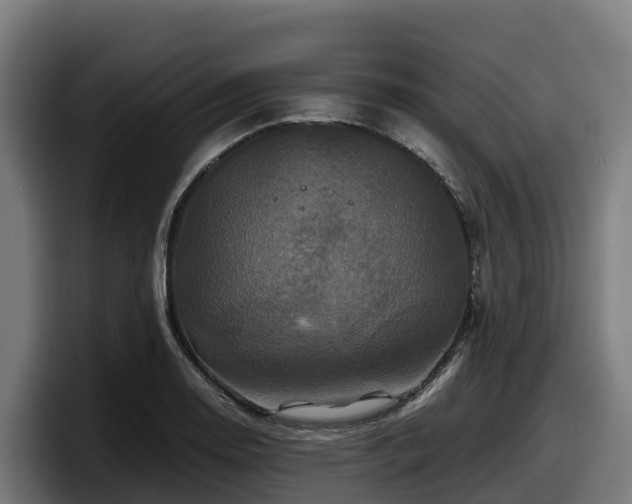 X0000097841130200803201512