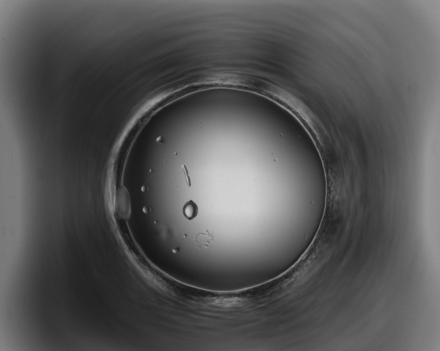 X0000097841131200803201512