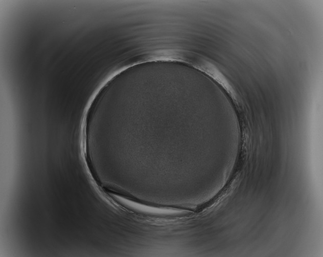 X0000097841132200803201512