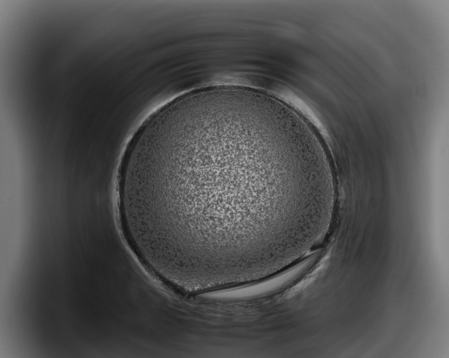 X0000097841133200803201512