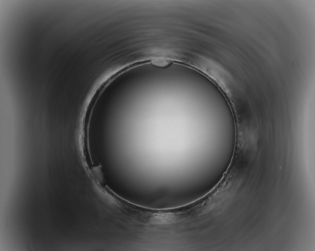 X0000097841136200803201513