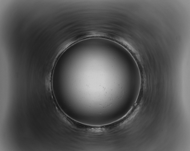 X0000097841137200803201513