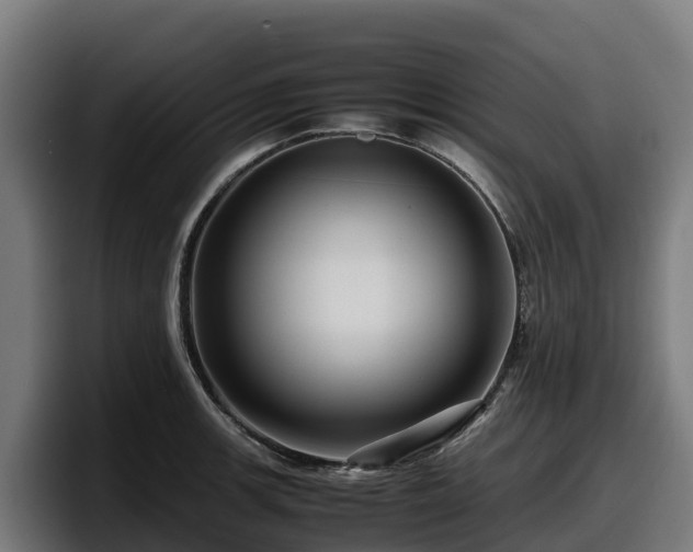 X0000097841139200803201513