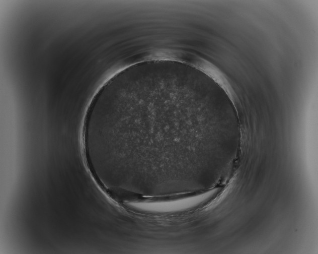 X0000097841141200803201513
